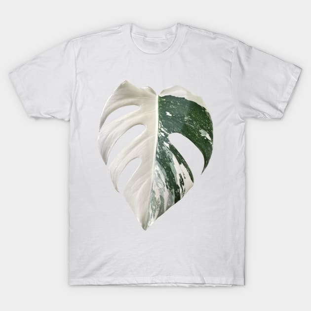 Marbled Monstera Albo Finestrated Design T-Shirt by barkNbloom